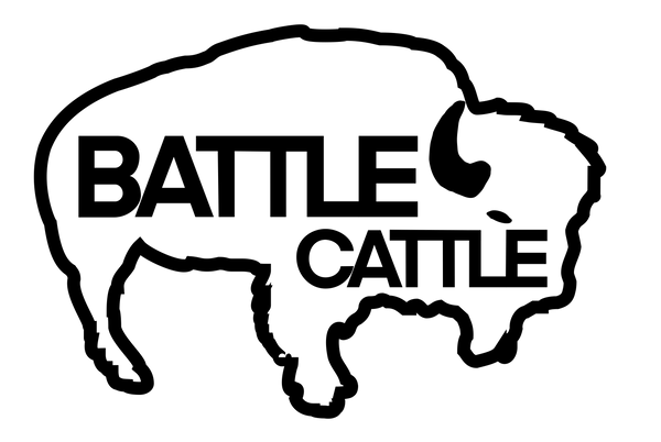 Lance Captain, USMCR (Ret.) logo